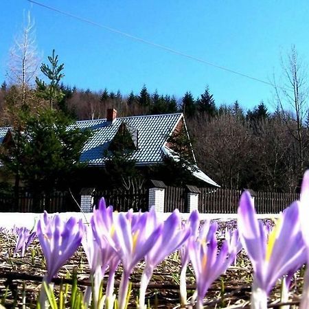 Goralska Czarcia Chata Pod Jalowcem Stryszawa Luaran gambar