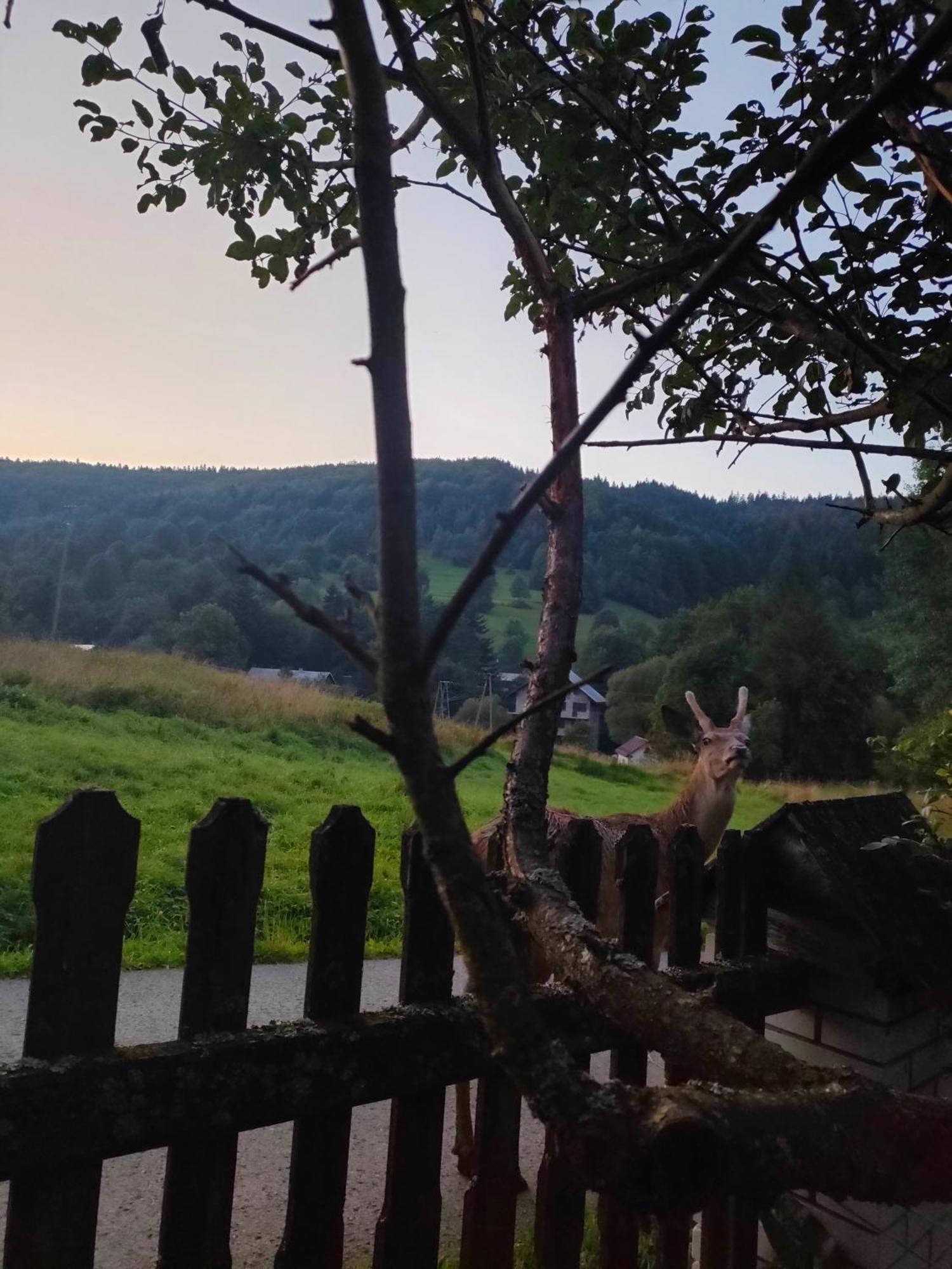 Goralska Czarcia Chata Pod Jalowcem Stryszawa Luaran gambar