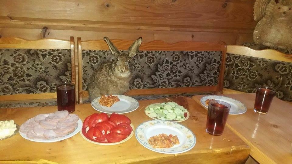 Goralska Czarcia Chata Pod Jalowcem Stryszawa Luaran gambar